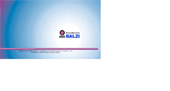 Desktop Screenshot of fundicionbalzi.com.ar
